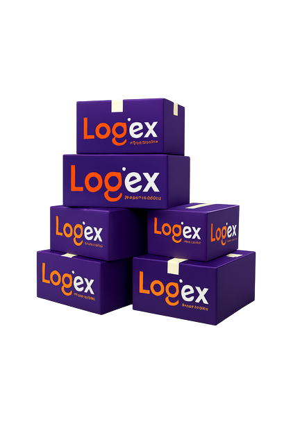 caixa com as cores i (1)